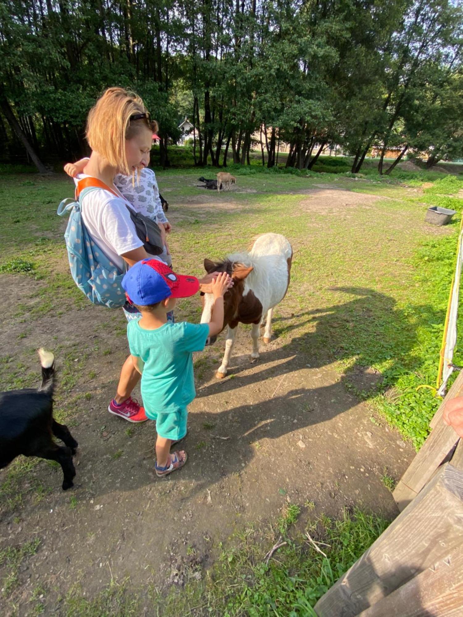 Drevenica Emilka, 5 Min Restauracia, Z Terasy Vyhlad Na Kralovu Holu A Polomske Ocko, Gril, Ohnisko, Kotlik Villa Breznóbánya Kültér fotó